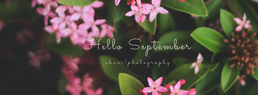 Những ảnh bìa facebook tháng 9 đẹp và ý nghĩa - Hình 7