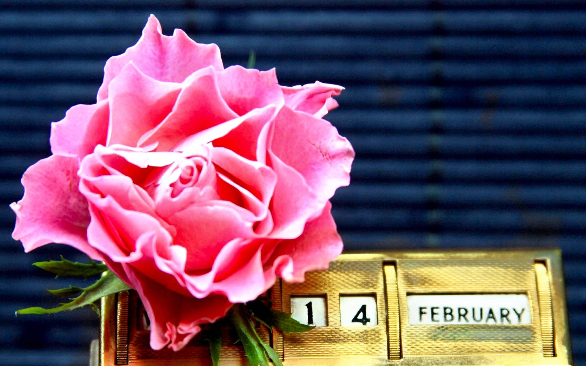 Bộ ảnh bó hoa hồng kèm hộp quà đầy ý nghĩa trong ngày lễ tình yêu Valentine - Hình 7