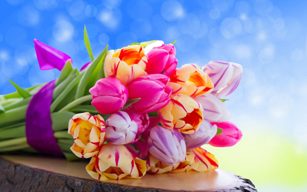 Bó hoa tulip chúc mừng sinh nhật đẹp và ấn tượng - Hình 10