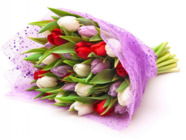 Bó hoa tulip chúc mừng sinh nhật đẹp và ấn tượng - Hình 1