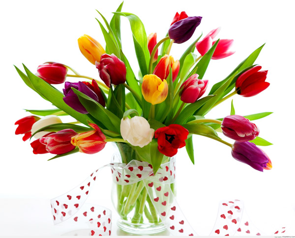 Bó hoa tulip chúc mừng sinh nhật đẹp và ấn tượng - Hình 5