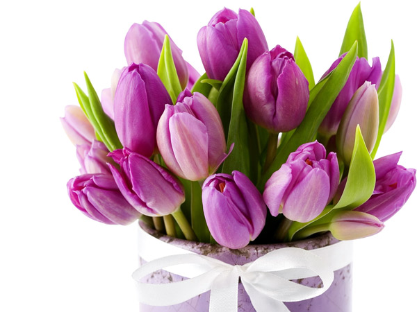 Bó hoa tulip chúc mừng sinh nhật đẹp và ấn tượng - Hình 6