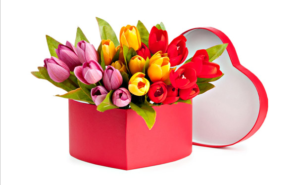 Bó hoa tulip chúc mừng sinh nhật đẹp và ấn tượng - Hình 17