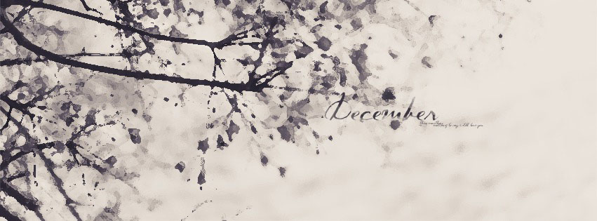 Cover facebook chào tháng 12 đẹp mê hồn - Hình 8