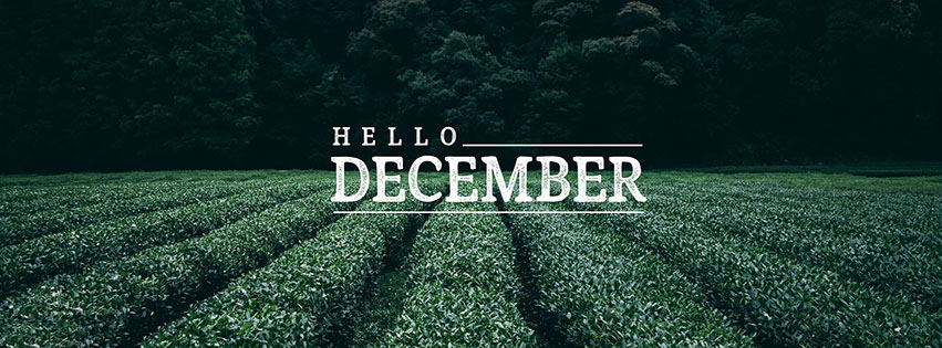 Cover facebook chào tháng 12 đẹp mê hồn - Hình 1