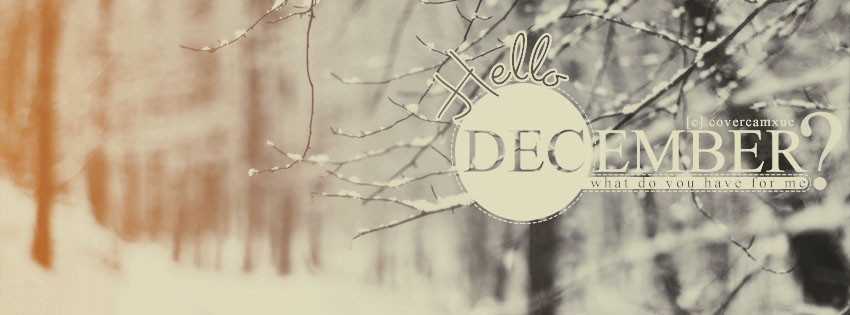 Cover facebook chào tháng 12 đẹp mê hồn - Hình 5