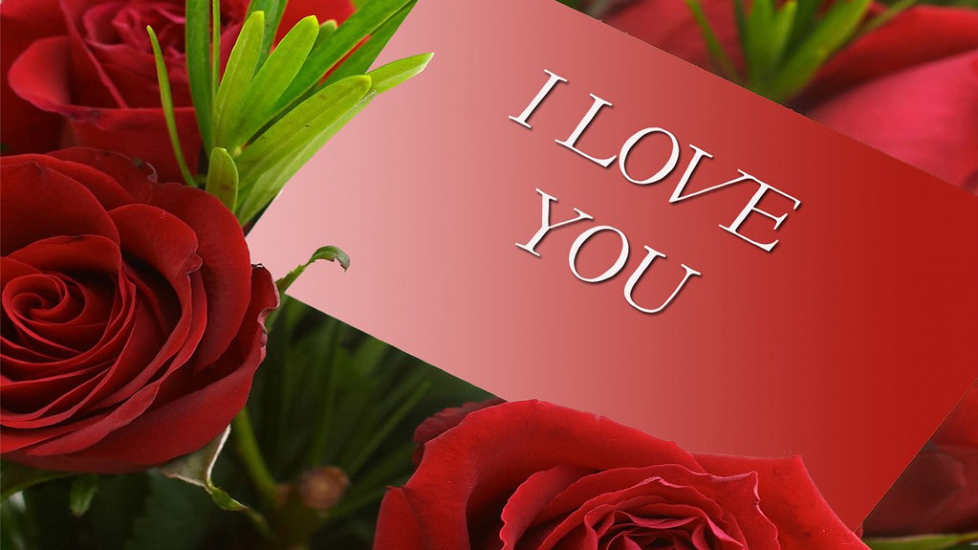 Tuyển tập 20 hình nền chữ i love you đẹp trong tình yêu - Hình 1