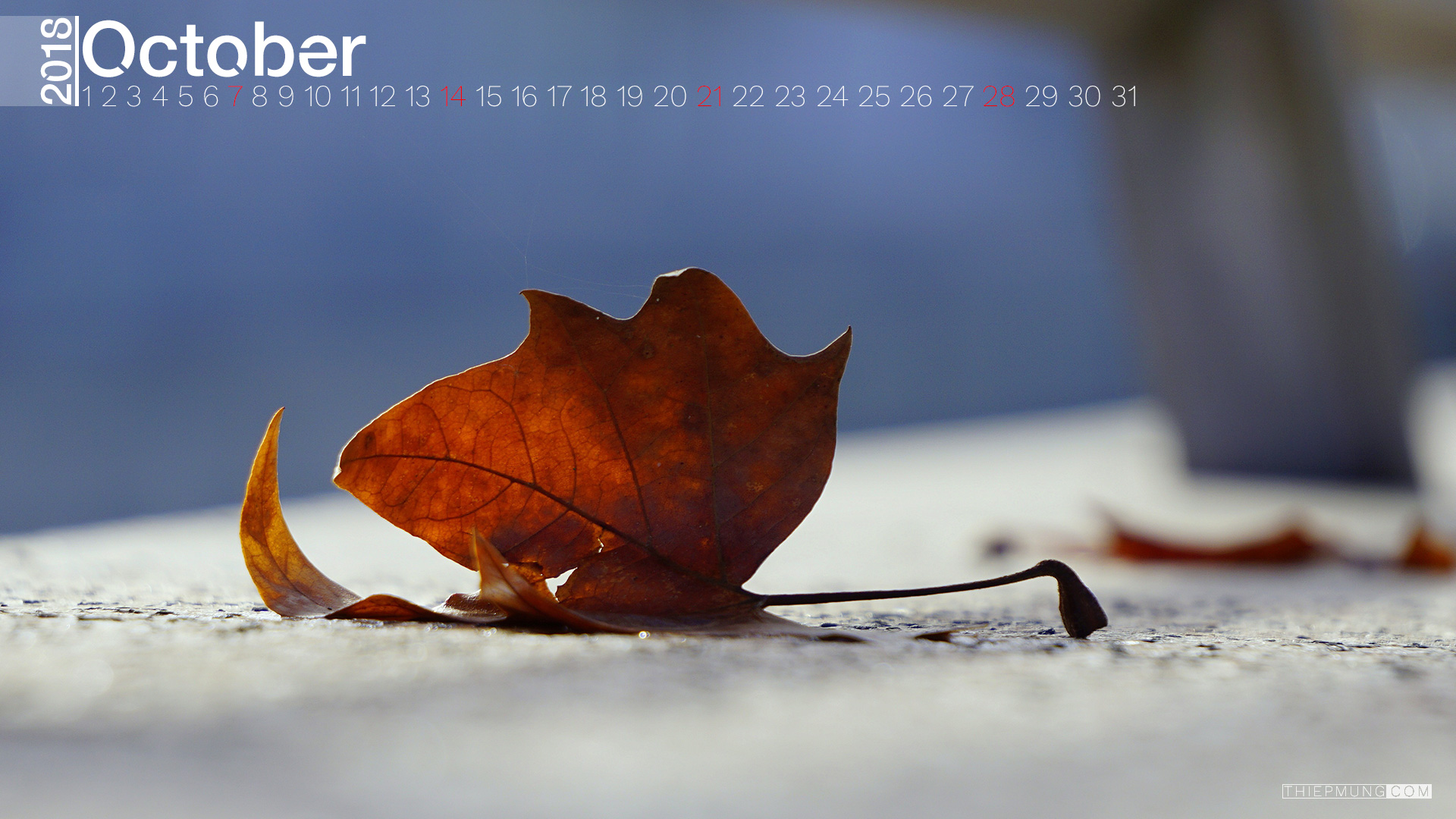 Hình nền desktop tháng 10 - Hình 12