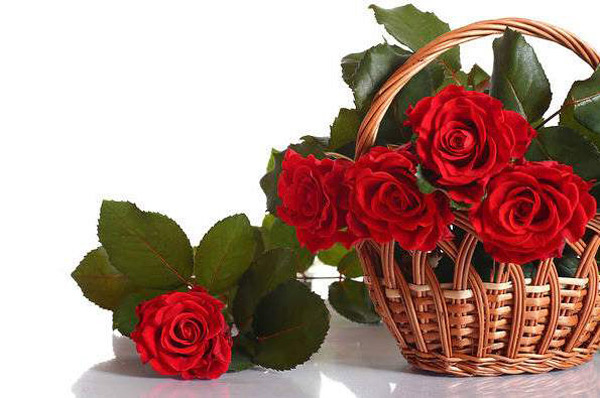 Bó hoa hồng đỏ dành tặng sinh nhật người yêu đẹp và ý nghĩa - Hình 13