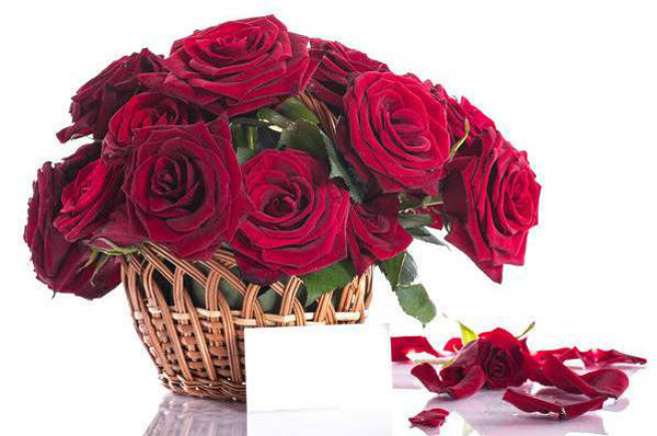 Bó hoa hồng đỏ dành tặng sinh nhật người yêu đẹp và ý nghĩa - Hình 12
