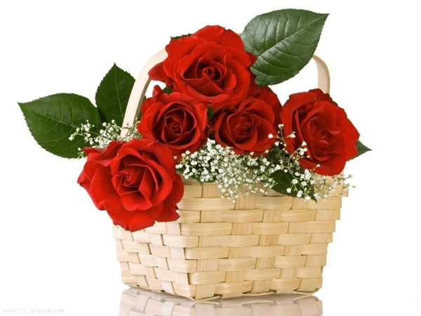 Bó hoa hồng đỏ dành tặng sinh nhật người yêu đẹp và ý nghĩa - Hình 16