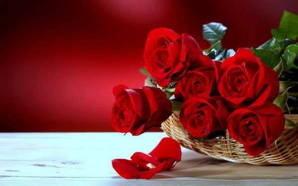 Bó hoa hồng đỏ dành tặng sinh nhật người yêu đẹp và ý nghĩa - Hình 18