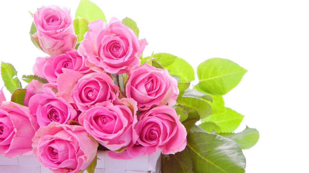 Tuyển tập những bó hoa hồng tặng sinh nhật đẹp miễn chê - Hình 11