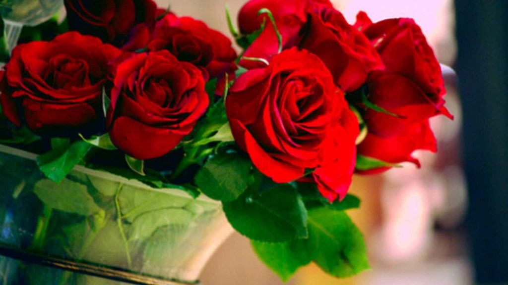 Tuyển tập những bó hoa hồng tặng sinh nhật đẹp miễn chê - Hình 12