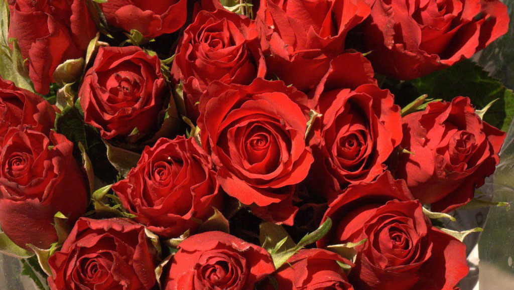 Tuyển tập những bó hoa hồng tặng sinh nhật đẹp miễn chê - Hình 4