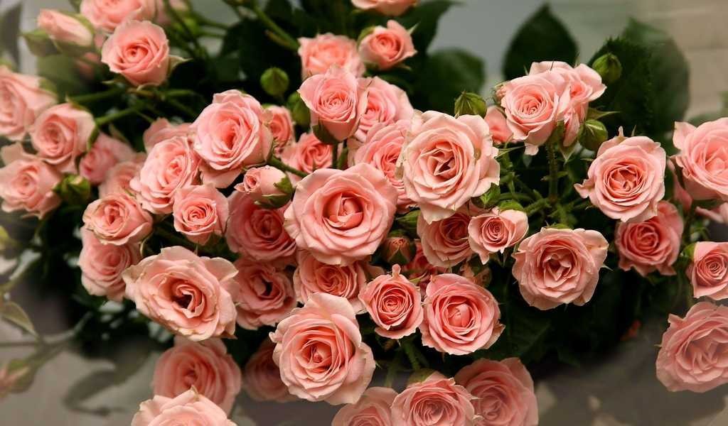 Tuyển tập những bó hoa hồng tặng sinh nhật đẹp miễn chê - Hình 6