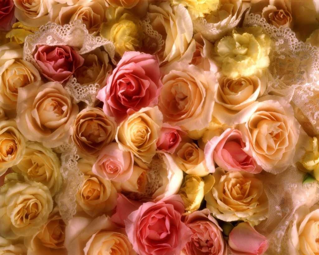 Tuyển tập những bó hoa hồng tặng sinh nhật đẹp miễn chê - Hình 10