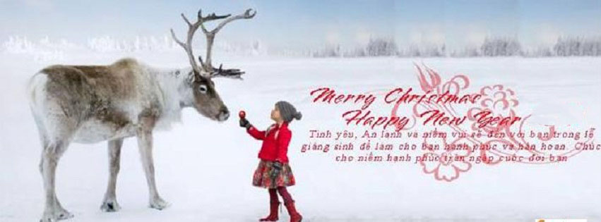 #giangsinh: Chào đón mùa Giáng sinh ấm áp và rực rỡ cùng bức ảnh này, thấy người ta đang chào đón ước mơ, tình yêu và hạnh phúc vào dịp cuối năm.