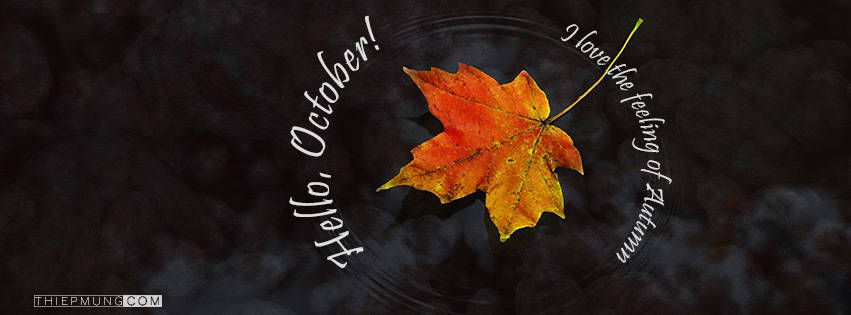 Tháng 10 đã đến, hãy nhanh tay cập nhật cho mình một bức ảnh bìa Facebook tháng 10 mới nhất để thể hiện sự năng động, cá tính của chính bạn. Đồng thời, gợi nhớ mùa thu đến bên bạn với những hình ảnh đẹp và tràn đầy ý nghĩa.