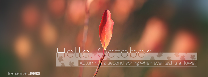 Chào mừng tháng 10 mới! Bạn là một người thích thay đổi ảnh bìa Facebook thường xuyên? Hãy cập nhật ngay với ảnh bìa Facebook tháng 10 mới nhất, sẽ mang đến cho trang cá nhân của bạn vẻ đẹp mới lạ và cuốn hút.