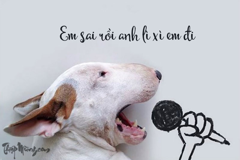 Chế ảnh chó năm mới: Tết Nguyên đán đến rồi! Hãy tạo ra những bức ảnh chó độc đáo, ấn tượng bằng cách chế ảnh chó năm mới. Chúng tôi cung cấp những idea và gợi ý hấp dẫn để bạn tự tạo ra những bức ảnh tuyệt vời nhất.