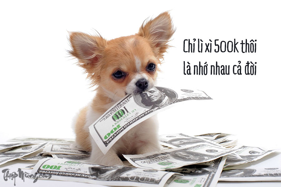 Chú chó vòi tiền không chỉ là một biểu tượng văn hóa thú vị, mà còn là một biểu tượng may mắn trong vấn đề tài chính. Hãy xem hình ảnh để hiểu thêm về ý nghĩa của nó và cảm nhận sự đáng yêu của chú chó đáng kinh ngạc này.