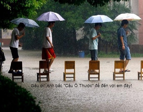 Bộ ảnh hài ảnh chế  mùa mưa ở Hà Nội - Hình 1