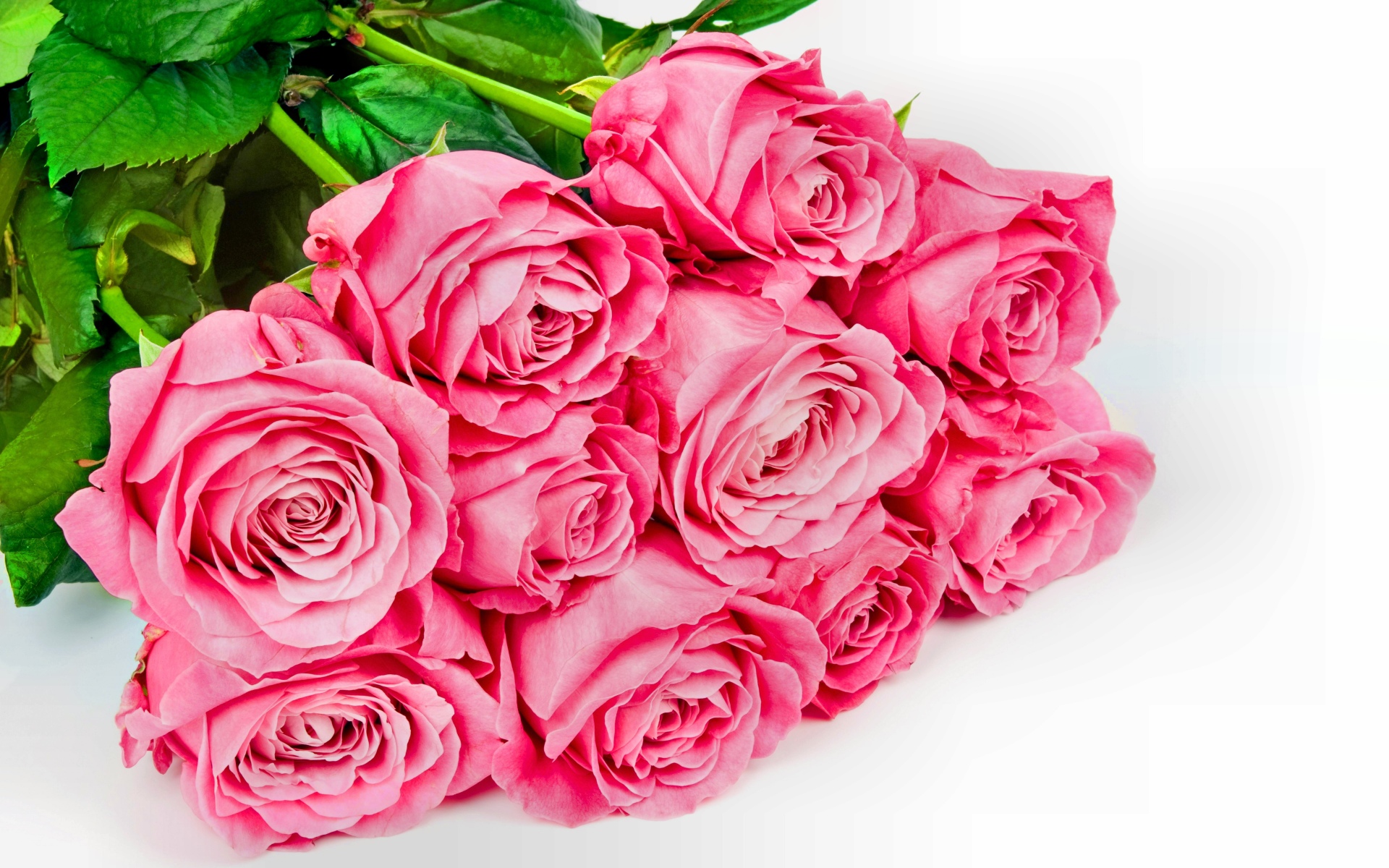 Bộ ảnh bó hoa hồng kèm hộp quà đầy ý nghĩa trong ngày lễ tình yêu Valentine - Hình 12