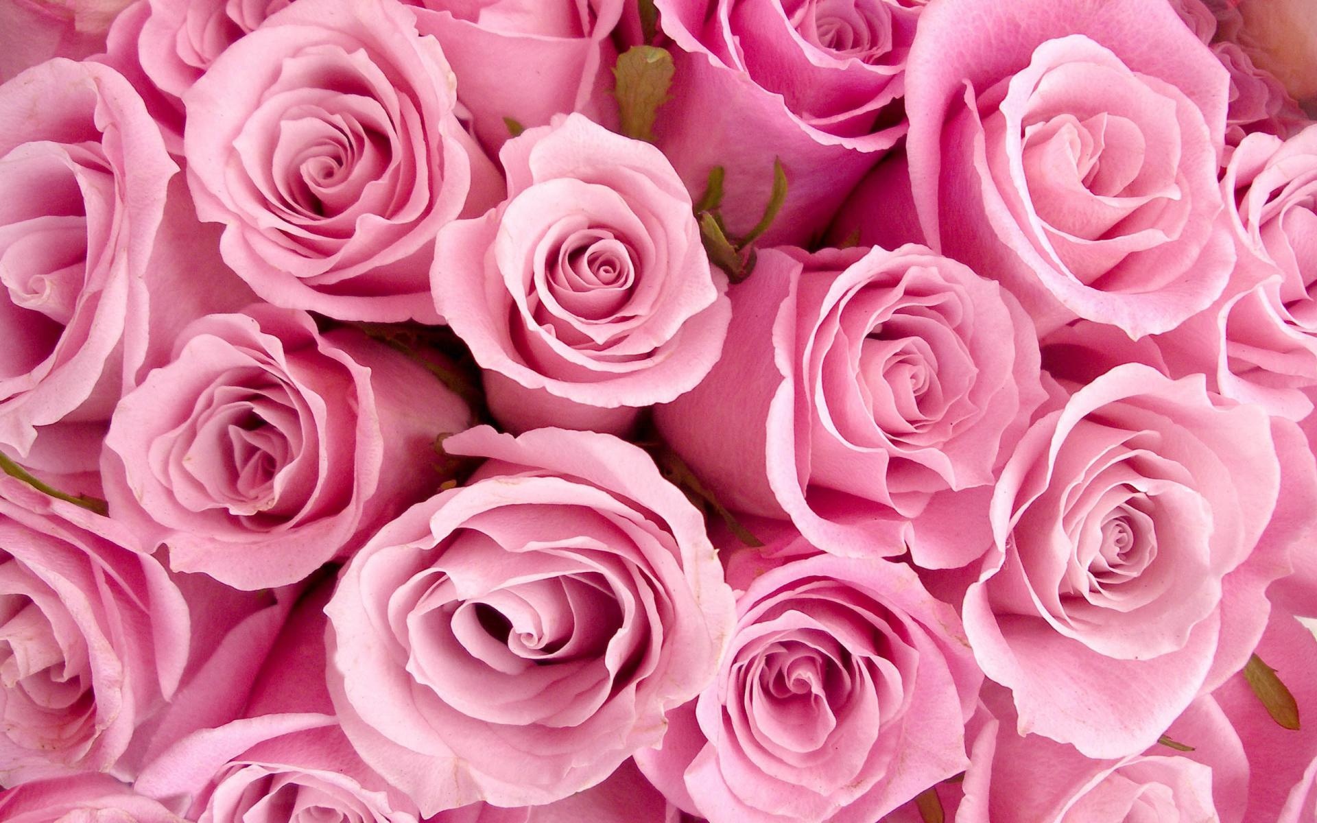 Bộ ảnh bó hoa hồng kèm hộp quà đầy ý nghĩa trong ngày lễ tình yêu Valentine - Hình 2