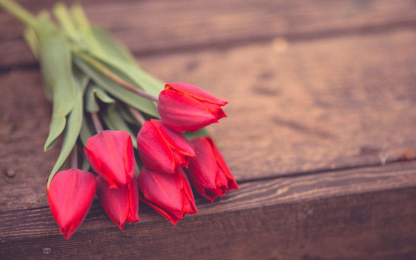 Bó hoa tulip chúc mừng sinh nhật đẹp và ấn tượng - Hình 11