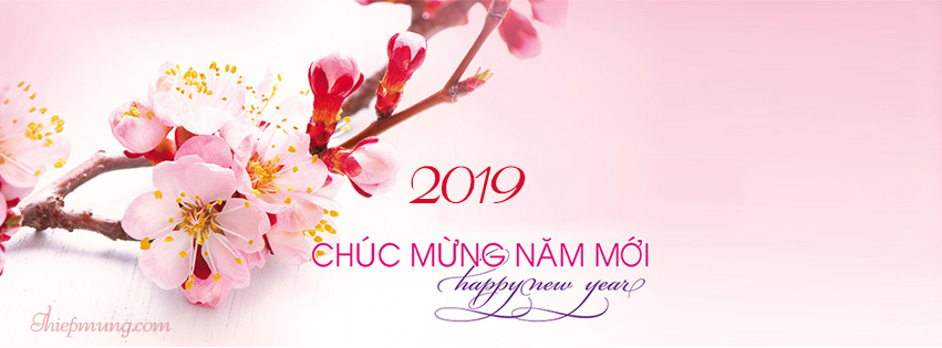 Chia sẻ bộ cover ảnh bìa tết 2019 đẹp và ý nghĩa chúc mừng năm mới- Hình 4