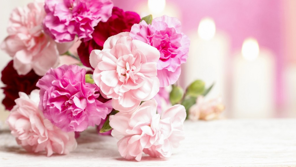 Hình nền hoa cẩm chướng sẽ mang đến hương vị tươi mới và thật sự tuyệt vời cho màn hình của bạn. Ngắm những bông hoa nở rộ, cùng những cánh hoa đầy màu sắc để tạo ra một không gian sống động và đẹp mắt. Hãy chọn hình nền hoa cẩm chướng thật đặc biệt để cảm nhận đầy ý nghĩa hơn trong ngày Phụ Nữ Việt Nam.