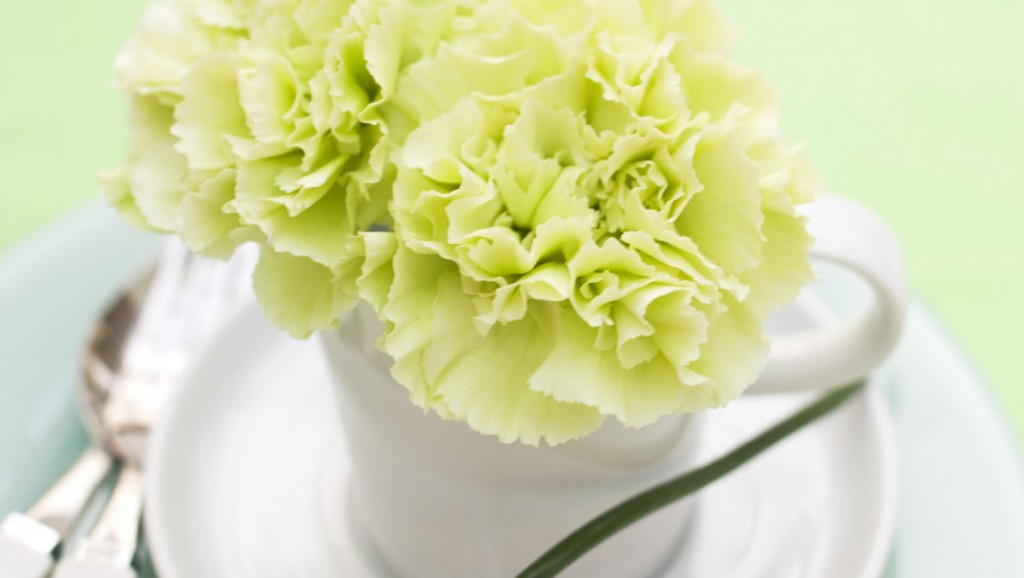 Hình nền hoa cẩm chướng sẽ giúp tinh thần bạn sảng khoái và tràn đầy sức sống. Hãy thưởng thức các hình nền đẹp lung linh và cùng cảm nhận vẻ đẹp của hoa cẩm chướng.