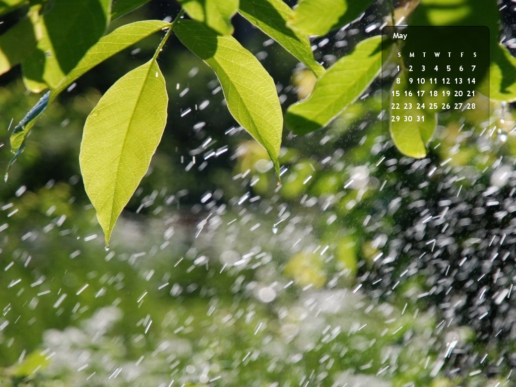 Hình nền mưa Full HD cho những bạn đang buồn - QuanTriMang.com