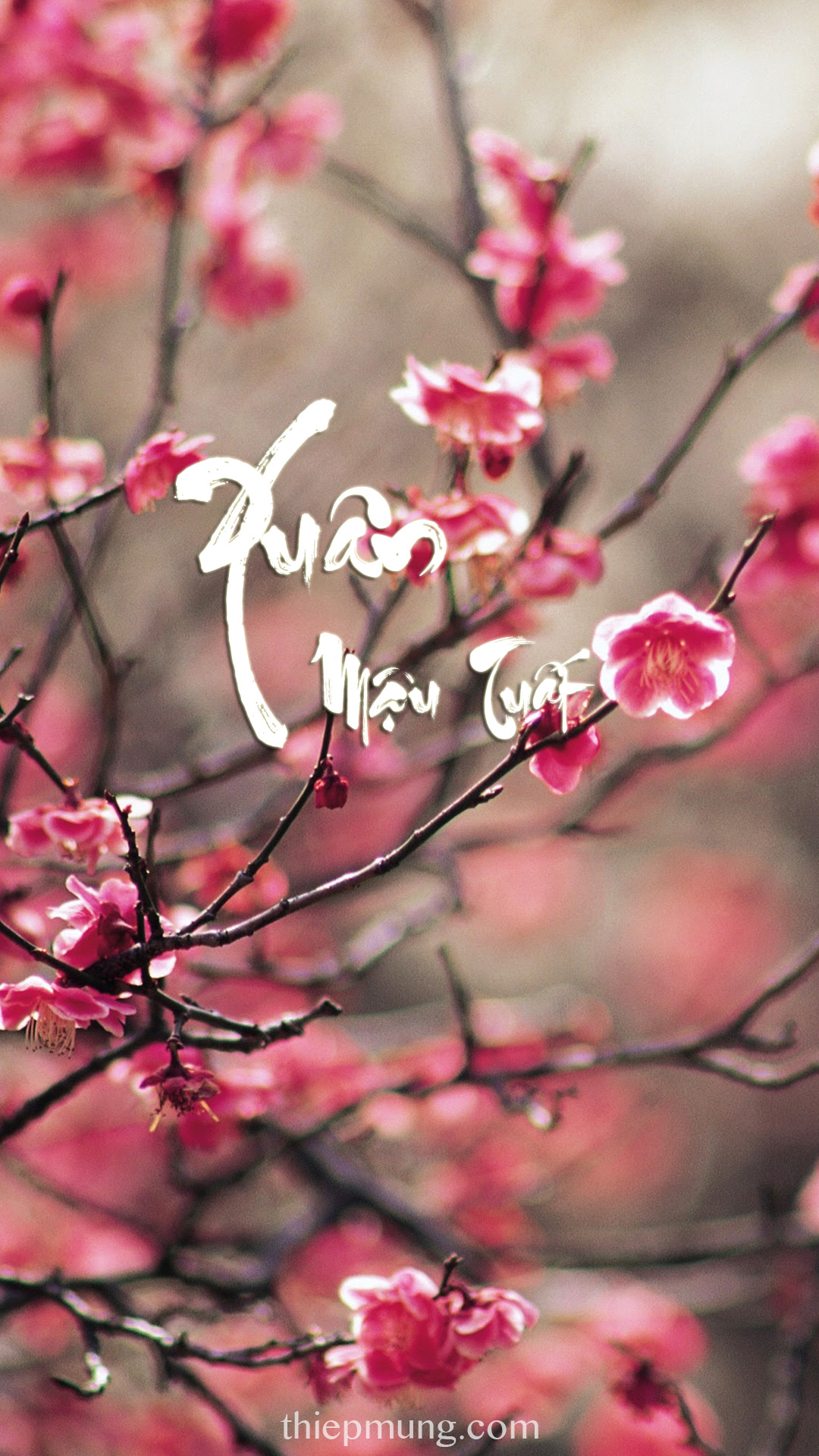 Tải bộ hình nền Tết 2018 dành cho điện thoại của bạn- Hình 3