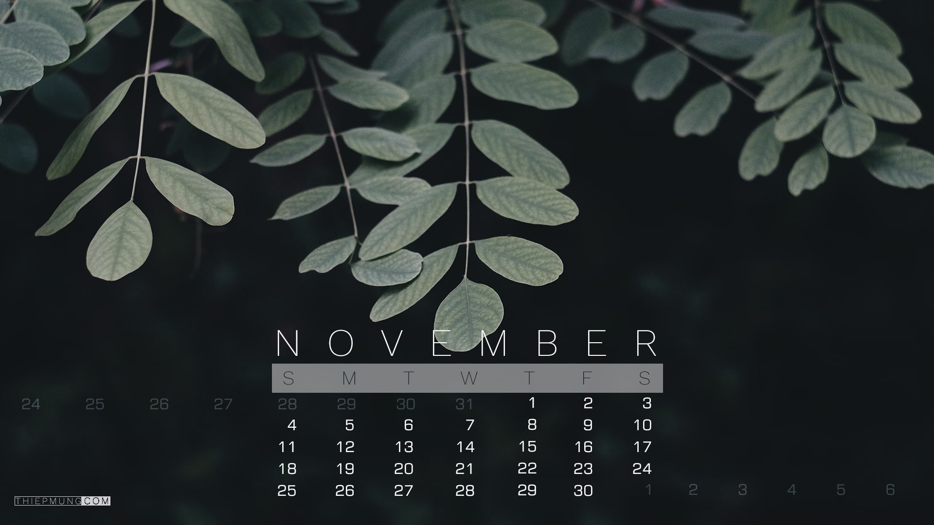 Hình nền desktop tháng 11 - Hình 1