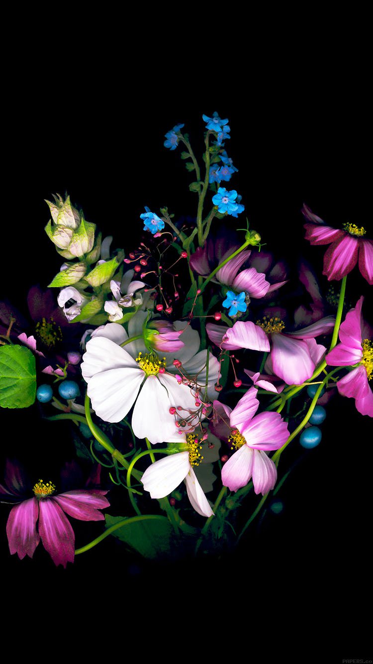 TOP 100 Hình nền hoa đẹp cho điện thoại 2020 39  Flowers photography  Pink flowers wallpaper Flower phone wallpaper