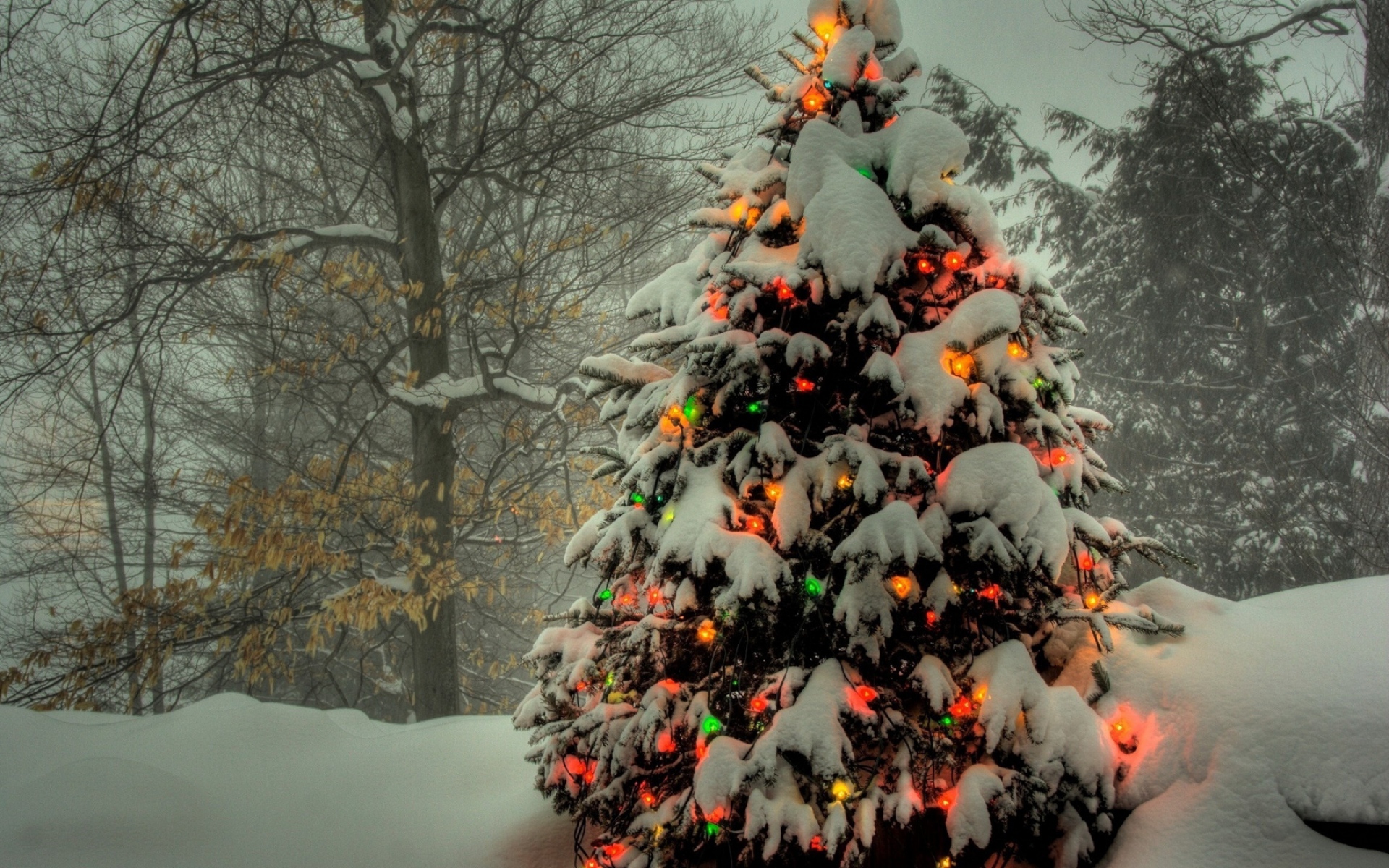 Hình nền : hình minh họa, tuyết, mùa đông, Cây thông Giáng sinh, Giáng Sinh,  Năm mới, Hình nền máy tính, Trang trí giáng sinh 1920x1080 - 4kWallpaper -  604156 - Hình nền đẹp hd - WallHere