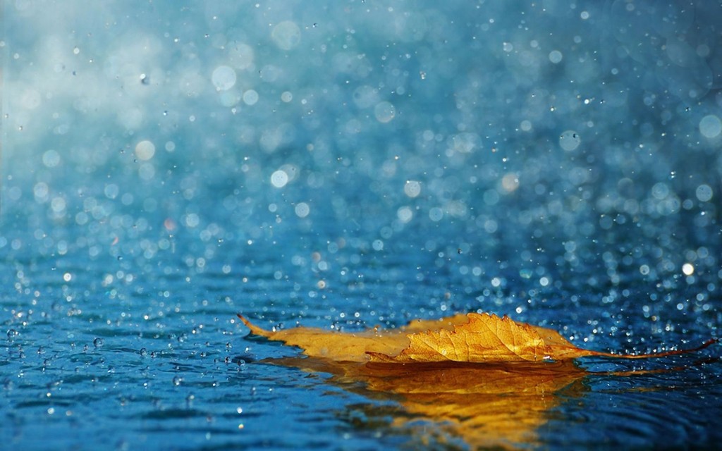 Top 20 hình nền mưa đẹp mê hồn không thể không tải - Hình 2