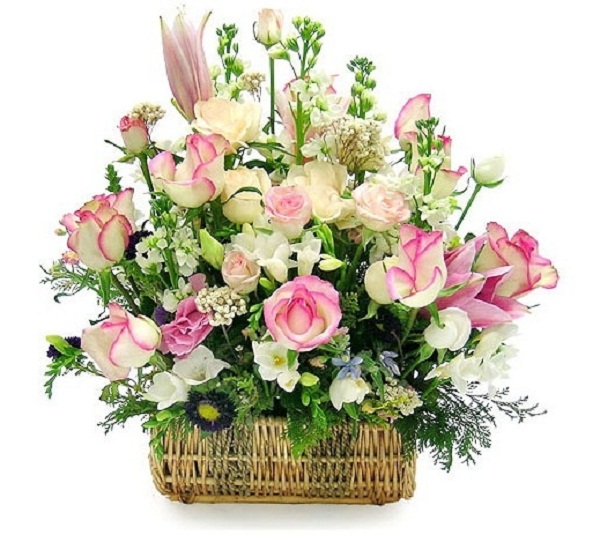 Bó hoa tặng thầy cô, món quà ý nghĩa sẽ khiến chúng ta luôn có được một lời cảm ơn chân thành và sâu sắc đến với những người thầy cô giáo. Hãy đến với dịch vụ của chúng tôi để sở hữu một bó hoa đặc biệt để tặng cho người thầy cô mà bạn trân trọng.