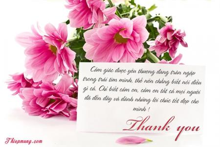 Tạo thiệp hoa cảm ơn trực tuyến đẹp