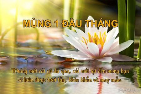 Gửi thiệp chúc mùng 1 đầu tháng mới với hoa ý nghĩa