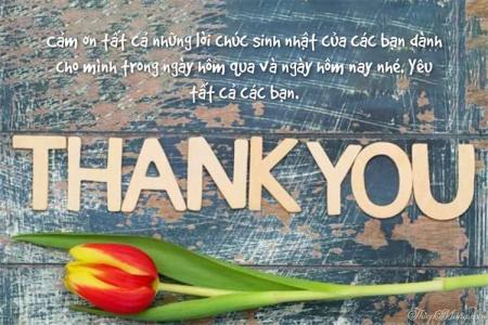 Thiệp cảm ơn sau sinh nhật mẫu hoa ý nghĩa