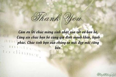 Gửi thiệp cảm ơn sau sinh nhật đẹp tinh tế