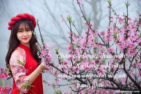 Ghép ảnh cùng vườn đào đón năm mới 2025