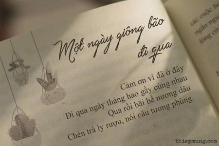 Tạo status cuộc sống, tình yêu hay trên trang sách