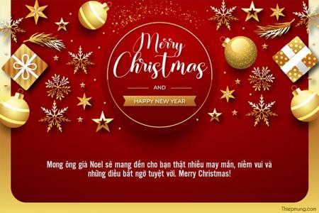 Thiệp Giáng sinh trang trí ngôi sao, cây thông vàng lấp lánh