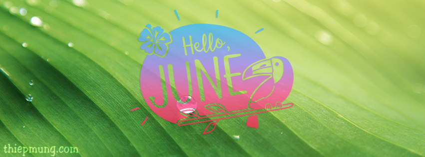 Ảnh bìa, cover facebook tháng 6 - Hello June, Hello Summer lung linh nhất - Hình 12