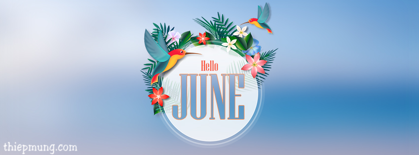 Ảnh bìa, cover facebook tháng 6 - Hello June, Hello Summer lung linh nhất - Hình 13