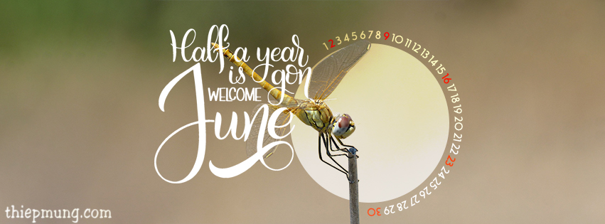 Ảnh bìa, cover facebook tháng 6 - Hello June, Hello Summer lung linh nhất - Hình 14